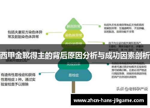 西甲金靴得主的背后原因分析与成功因素剖析 西甲金靴得主的背后原因分析与成功因素剖析